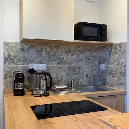 Appartement Les Villeneuve - 2