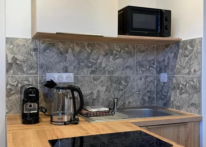 Appartement Les Villeneuve - 2